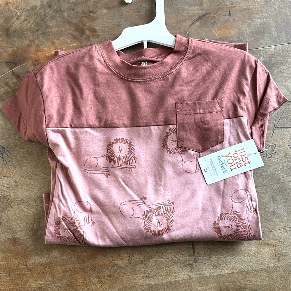 Carter’s 2 Piece Set 2T